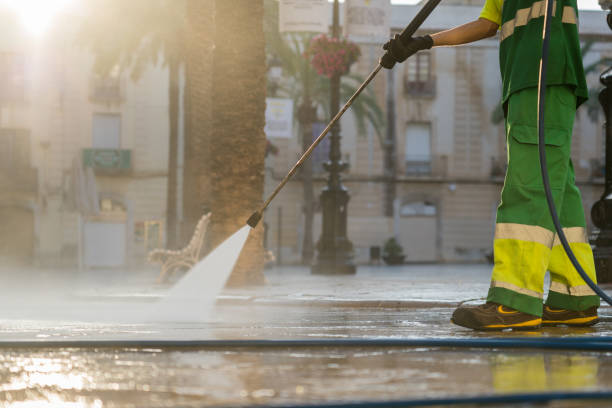 Best Roof Washing  in Streator, IL